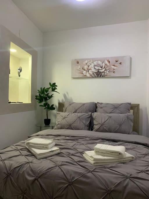 Studio Central Mm Apartments Brasov Ngoại thất bức ảnh